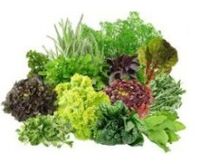 B9 B9 vitaminas para el cerebro